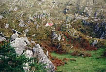 Irish Dream Homes...