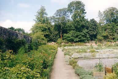 Im Gemüsegarten des Castle