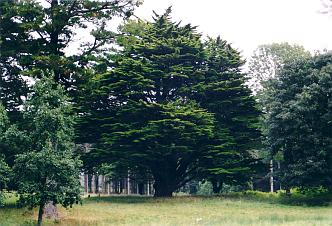 Im Portumna National Park