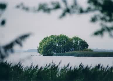 Blick aus dem Nationalpark auf den Lough Derg