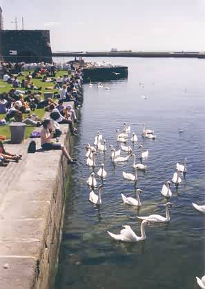 Mittagspause in Galway