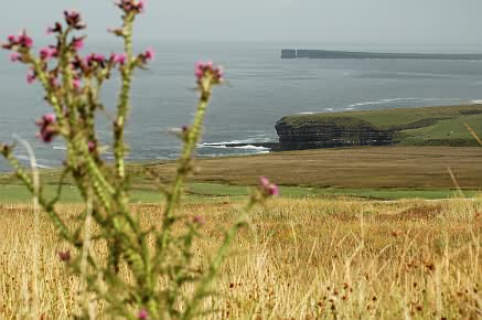 Blick von Ceide Fields Richtung Osten, in der Ferne der Downpatrick Head