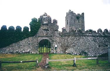 Clonony Castle, Eingang