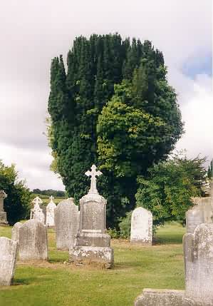 Friedhof in Terryglass