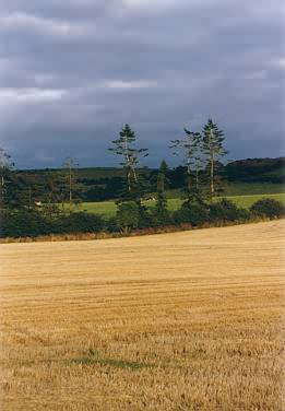 Abendstimmung in der Nähe von Clonmel