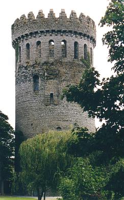 Donjon (französisch für Wohnturm).