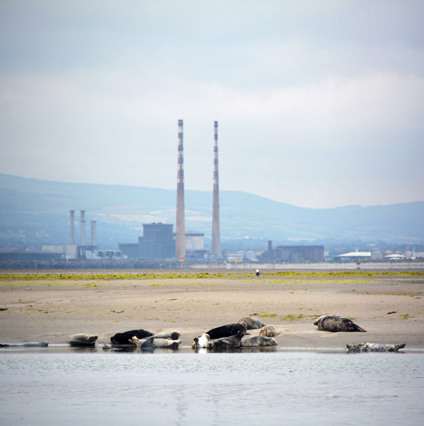 Dublin von außen