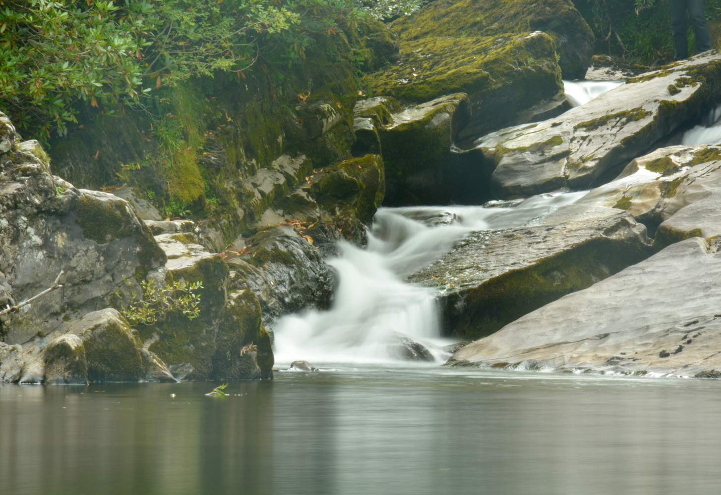 Bachlauf in den Wäldern von Glengarriff