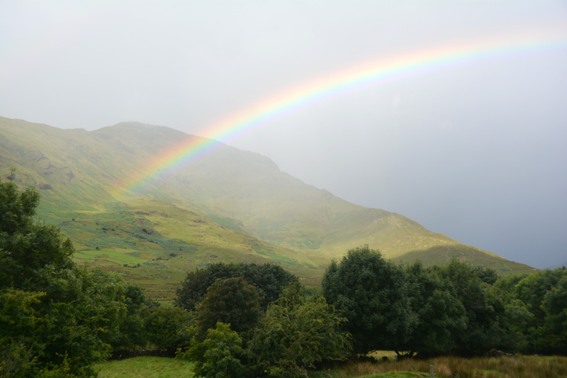 Regenbogen